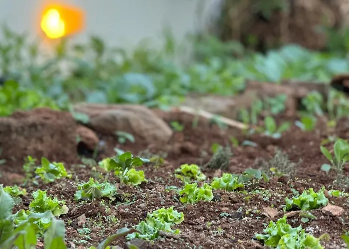 Moradia Abreu סנטה קרוז