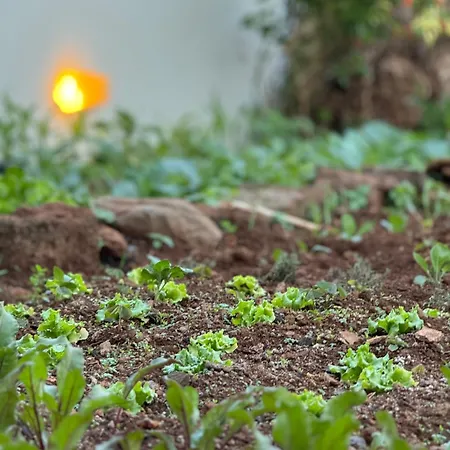 Moradia Abreu Santa Cruz (Madeira)